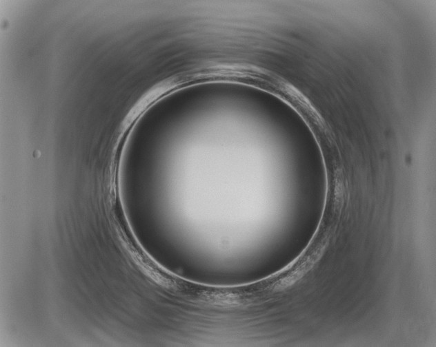 X0000087411370200704201350
