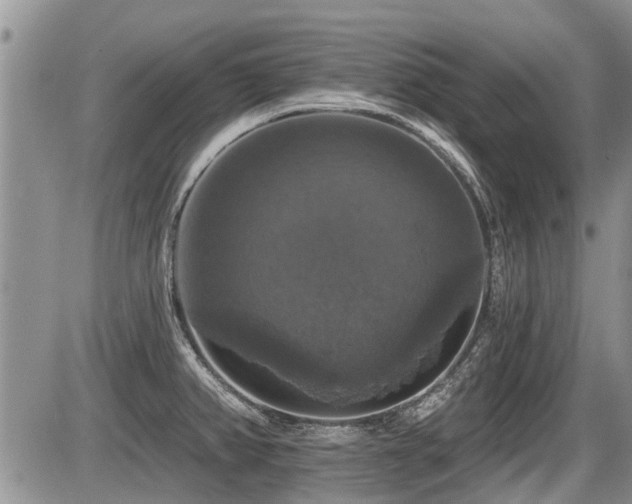 X0000087411382200704201350