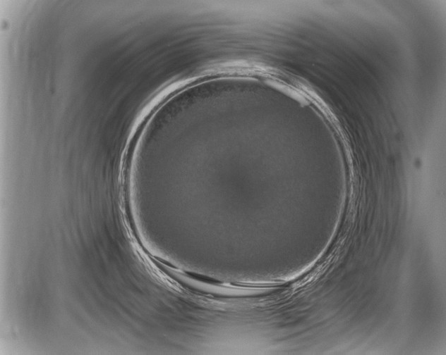X0000087411392200704201350