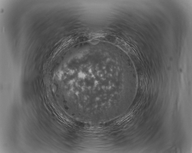 X0000087411393200704201349