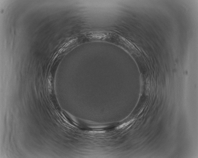 X0000087411394200704201349