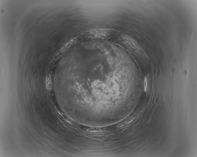 X0000087411395200704201349