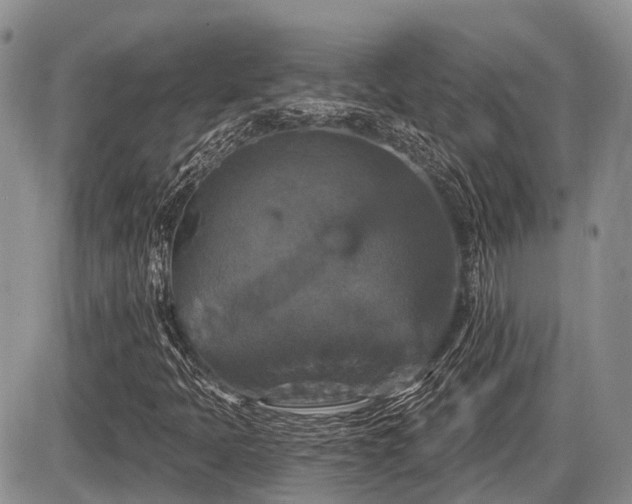 X0000087411397200704201349