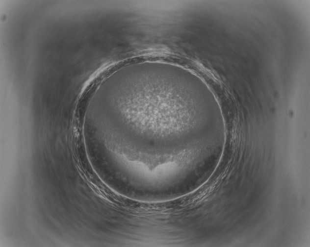 X0000087411400200704201349