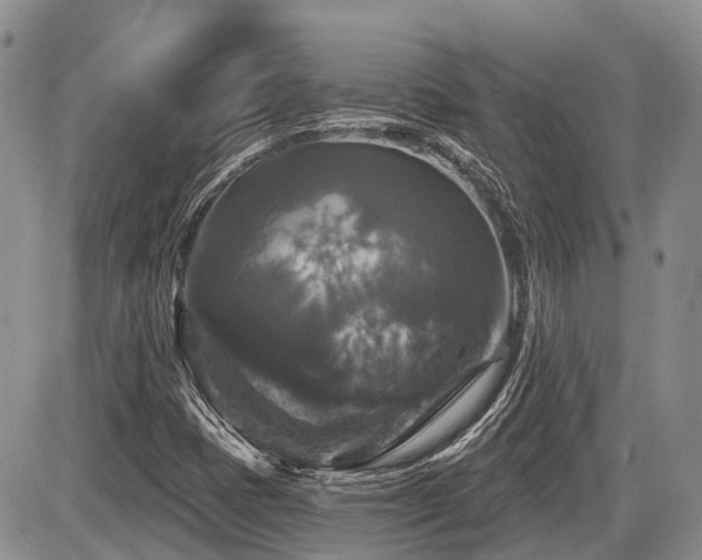 X0000087411401200704201349