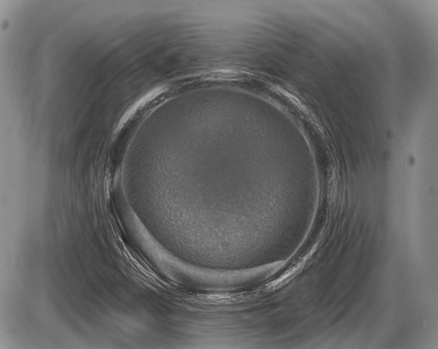 X0000087411402200704201349