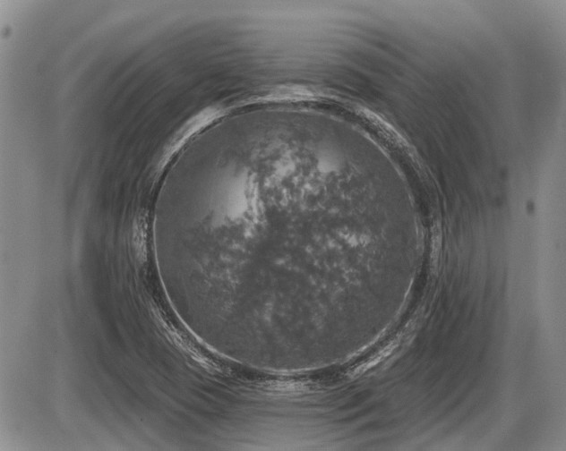 X0000087411409200704201349
