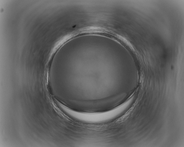 X0000087411413200704201349