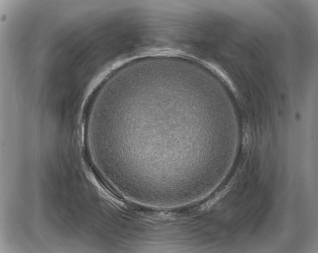 X0000087411414200704201349