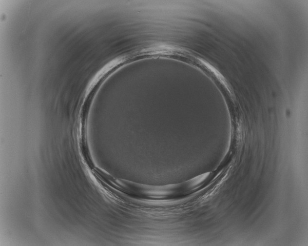 X0000087411418200704201349