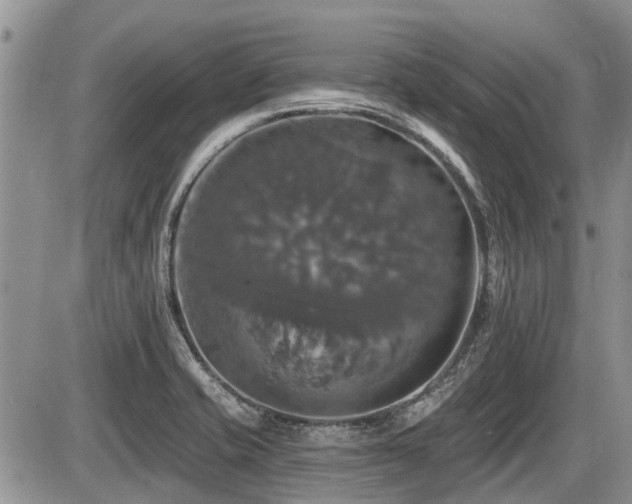 X0000087411421200704201349