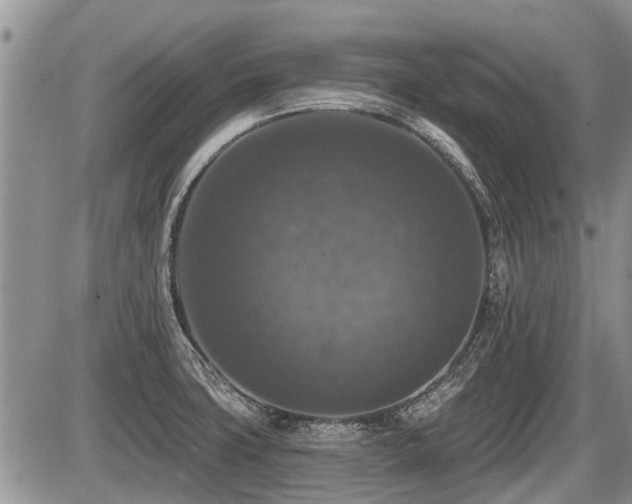 X0000087411427200704201350