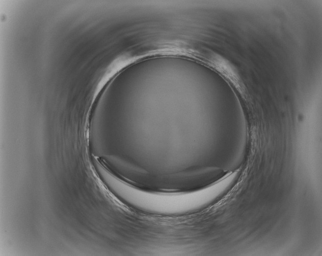 X0000087411428200704201350