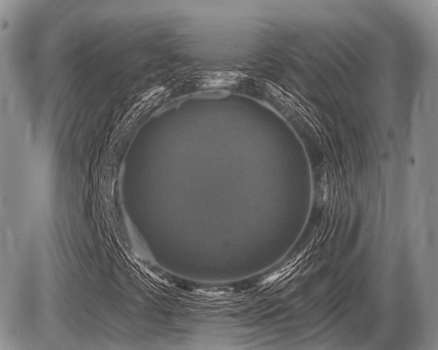 X0000087411441200704201349