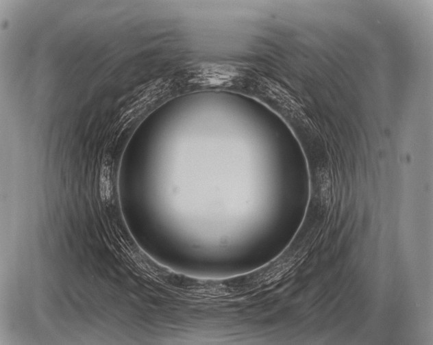 X0000087411442200704201349