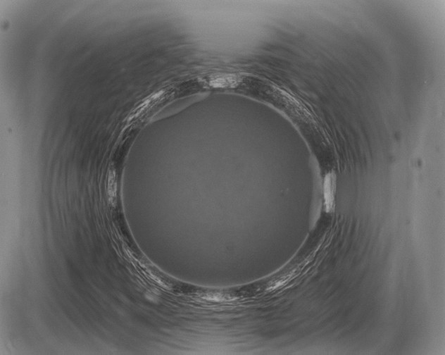X0000087411443200704201349