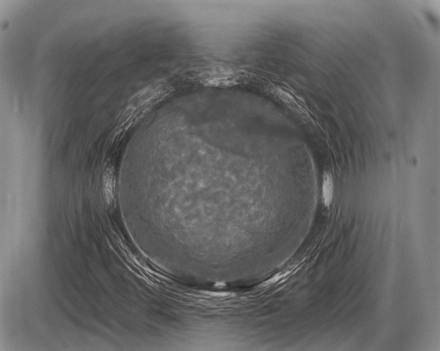 X0000087411444200704201349