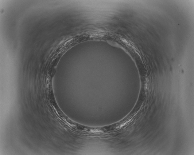 X0000087411445200704201349