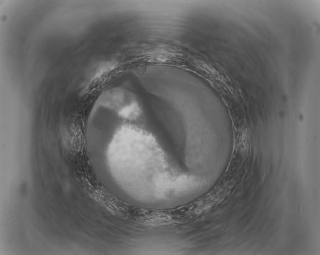 X0000087411446200704201349
