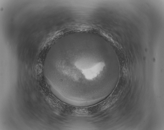 X0000087411447200704201349