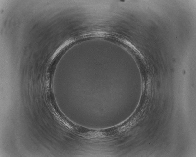 X0000087411450200704201349