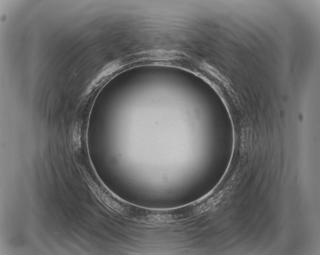 X0000087411451200704201349