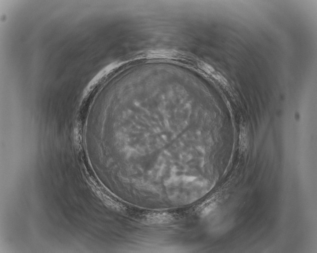 X0000087411454200704201349