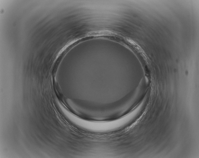 X0000087411457200704201349