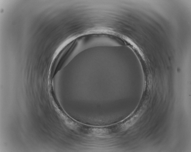 X0000087411469200704201349