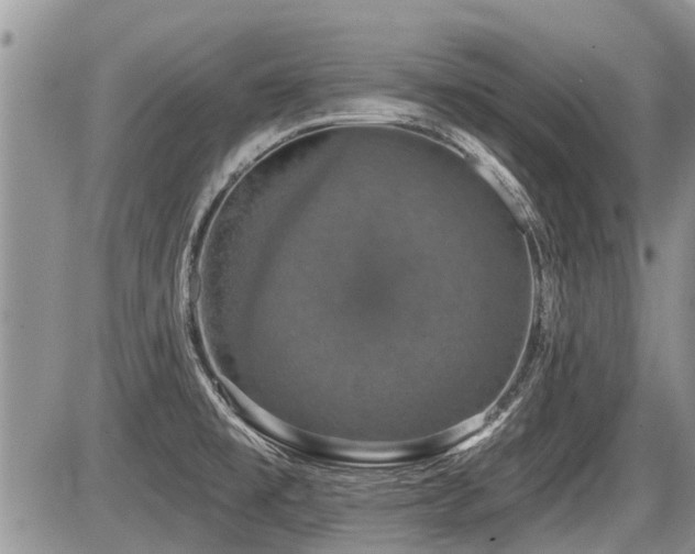 X0000087411477200704201348