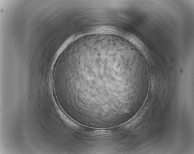 X0000087411478200704201348