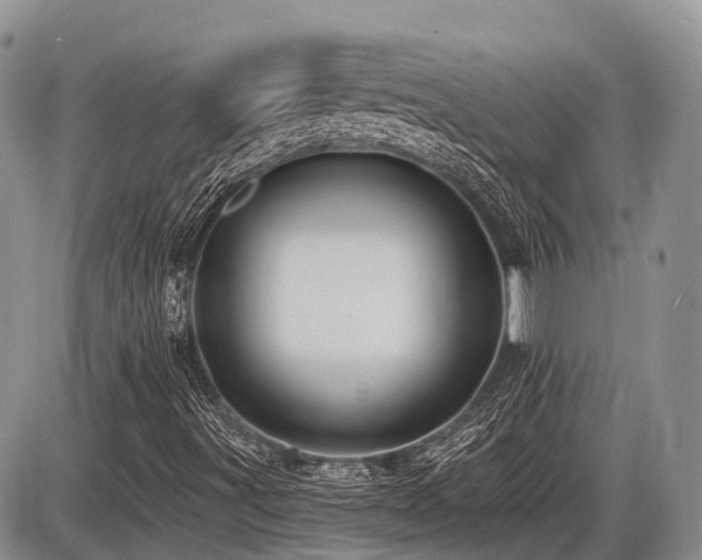 X0000087411491200704201347