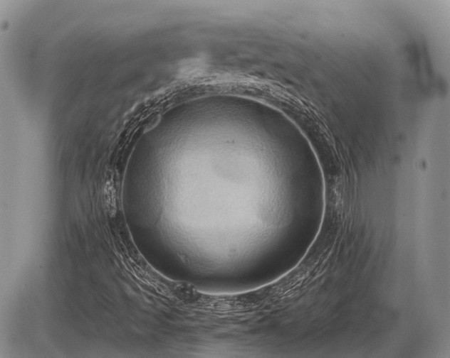 X0000087411493200704201347