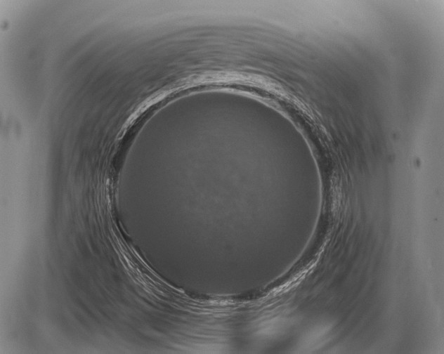 X0000087411497200704201348