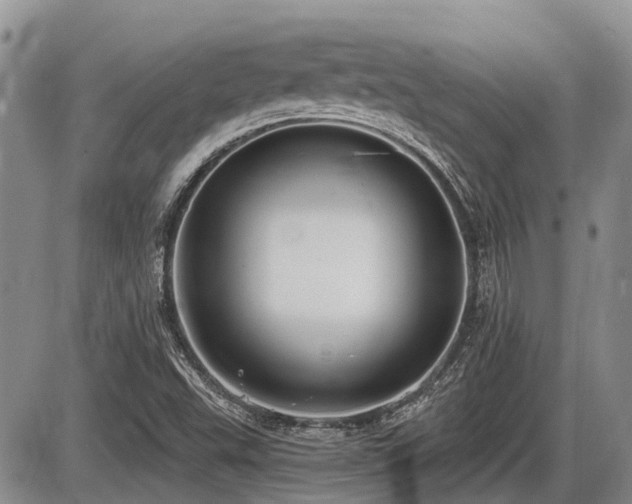 X0000087411503200704201348