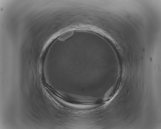 X0000087411506200704201348
