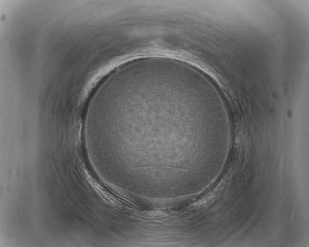 X0000087411507200704201348