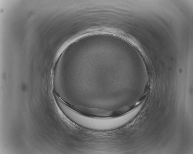 X0000087411524200704201348