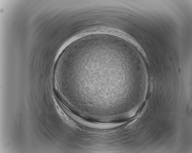 X0000087411530200704201348