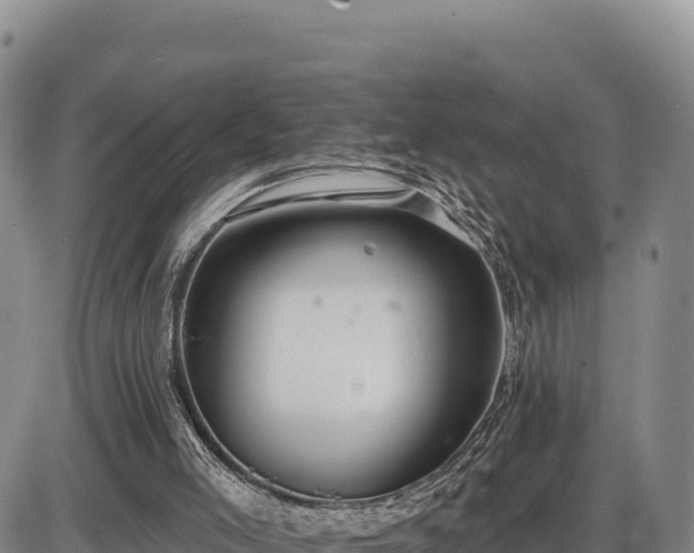 X0000087410005200704271724