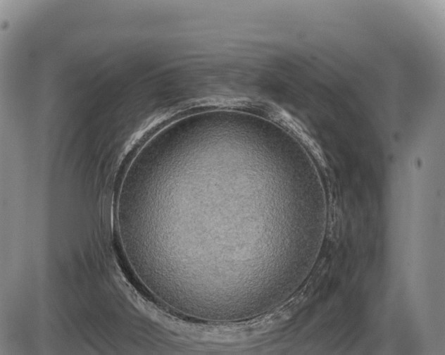 X0000087410011200704271723