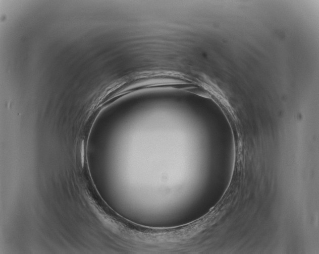 X0000087410013200704271723