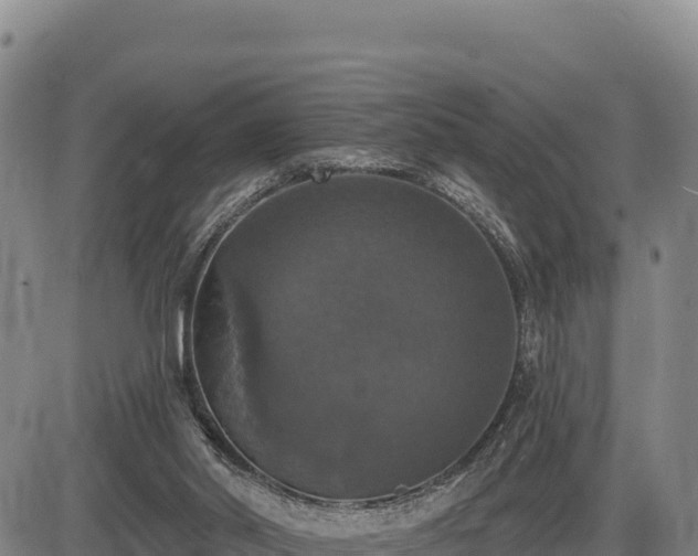 X0000087410014200704271723