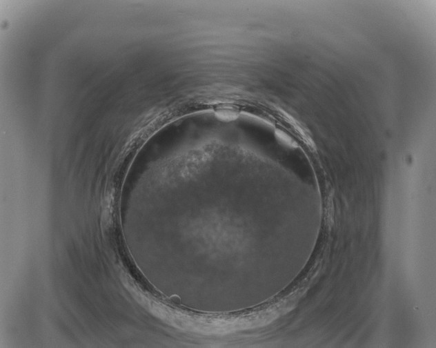 X0000087410018200704271723