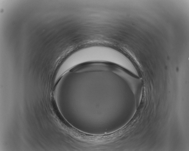 X0000087410023200704271723