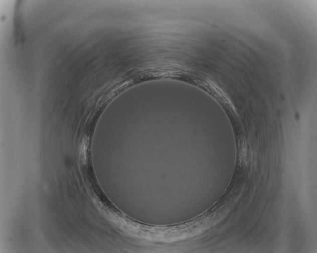 X0000087410026200704271723