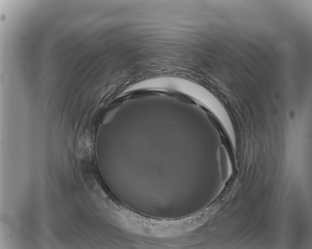 X0000087410039200704271723