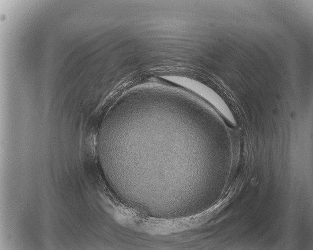 X0000087410045200704271723