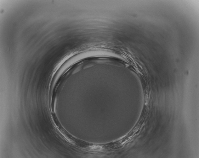 X0000087410052200704271722