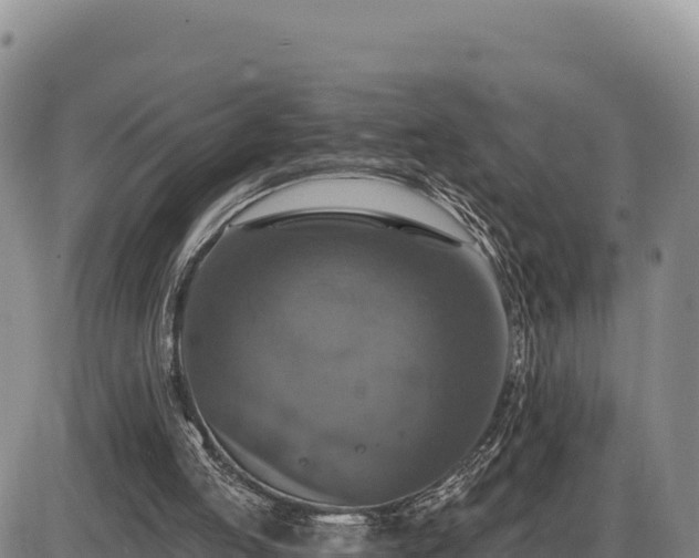 X0000087410053200704271722
